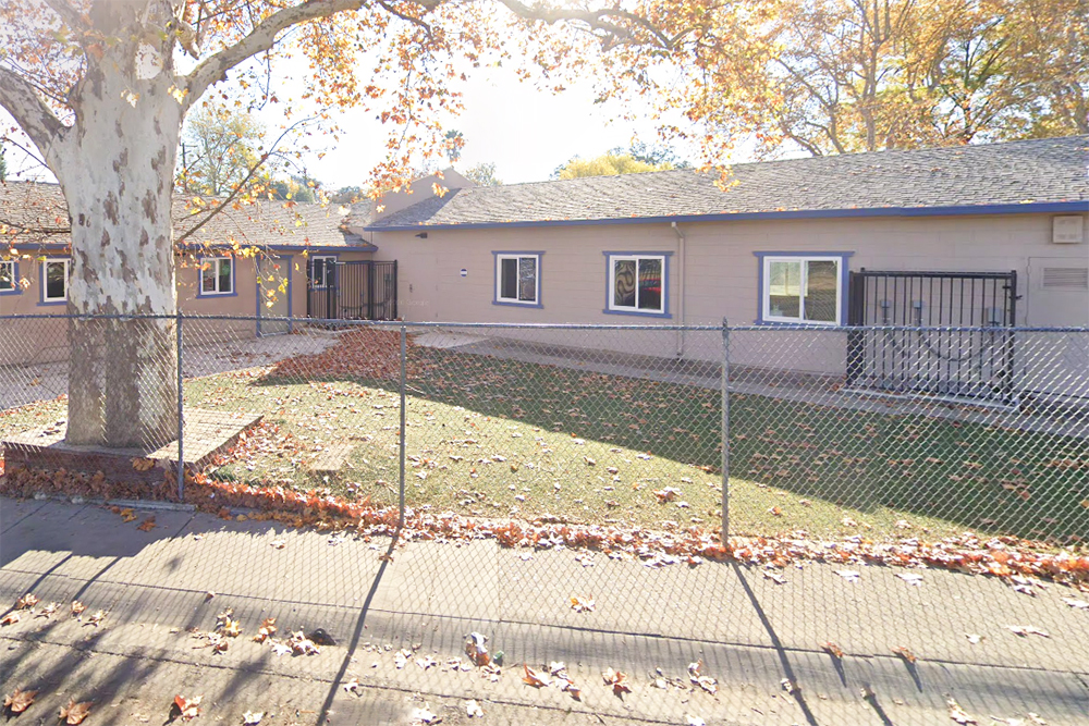 Security Cameras, Privacy Fences, & More Always Ensure Their Safety